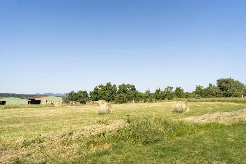 Maison A La Campagne 6 Personnes Zutzendorf Exteriör bild
